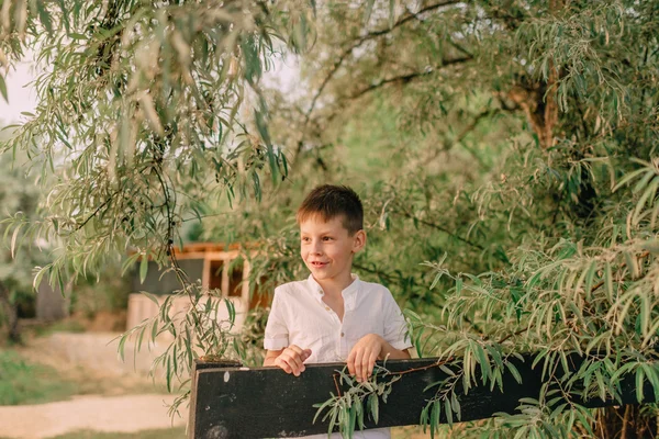 Jongen spelen met een kikker — Stockfoto