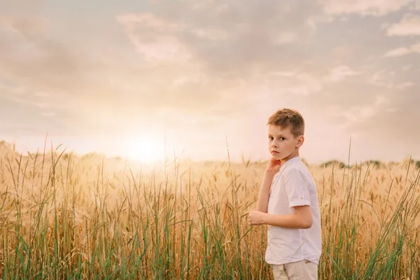 Petit garçon dans un champ de blé — Photo