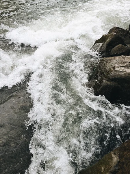 In summer forest mountain stream — Stock Photo, Image