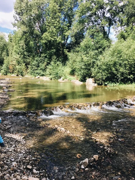 I sommaren skog fjällbäck — Stockfoto