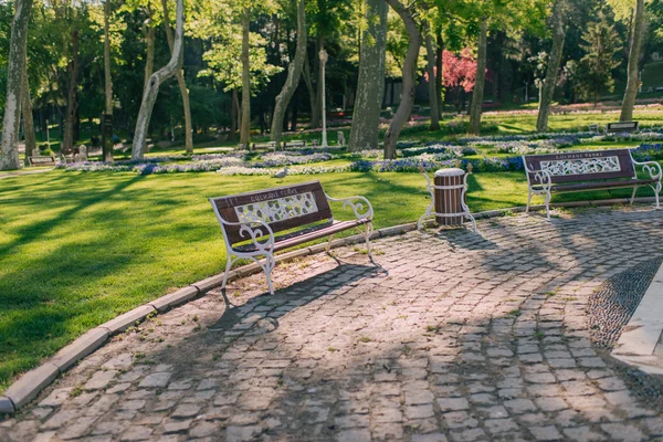 Panchine nel parco estivo — Foto Stock