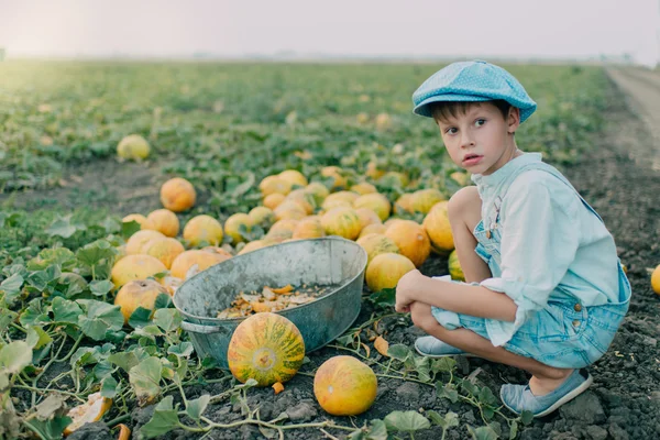 Garçon sur le terrain avec des melons — Photo