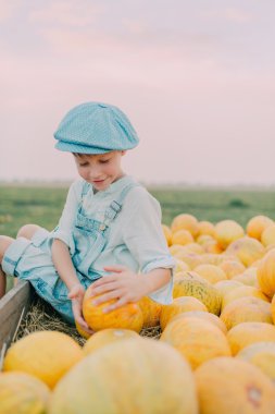 çocuk arabası ile sarı kavunlar