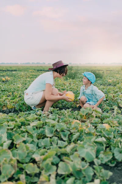 Mama i syn na polu z melonów — Zdjęcie stockowe