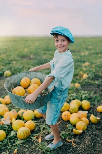 Chłopiec na pole z melonów — Zdjęcie stockowe
