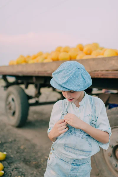 Garçon dans un chariot avec des melons jaunes — Photo