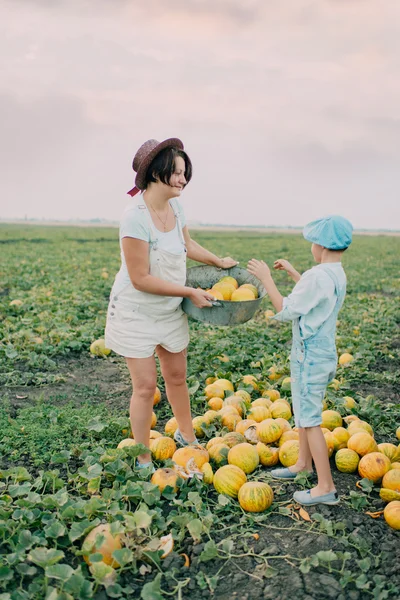 Mama i syn na polu z melonów — Zdjęcie stockowe