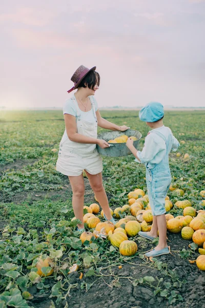 Mama i syn na polu z melonów — Zdjęcie stockowe