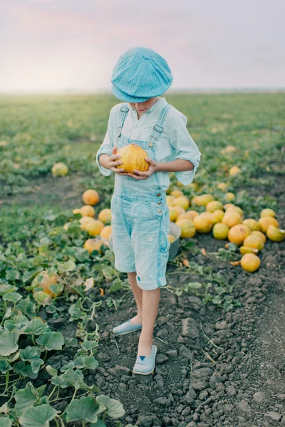 Chłopiec na pole z melonów — Zdjęcie stockowe