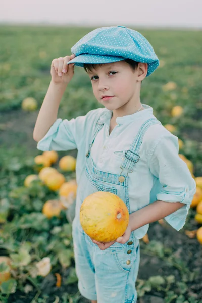 Garçon sur le terrain avec des melons — Photo