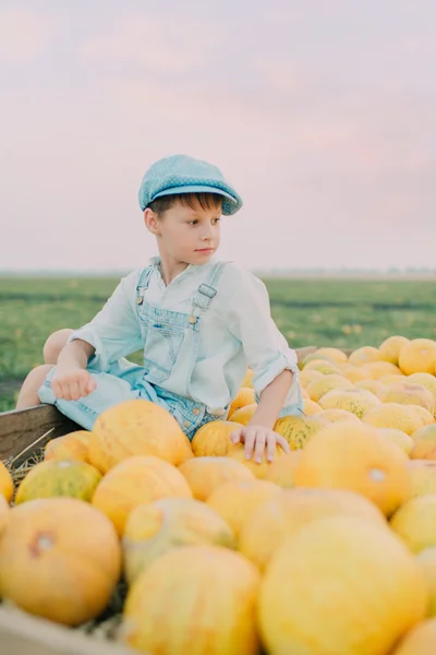 Junge im Einkaufswagen mit gelben Melonen — Stockfoto