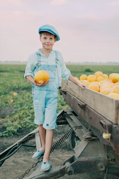 Chłopiec w koszyku z żółte melony — Zdjęcie stockowe