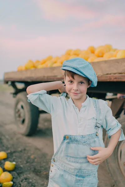 Garçon dans un chariot avec des melons jaunes — Photo