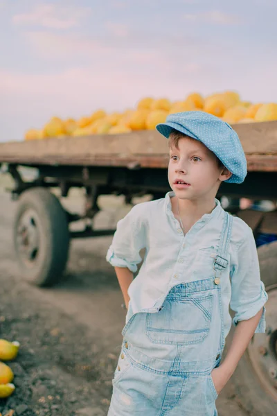 Junge im Einkaufswagen mit gelben Melonen — Stockfoto