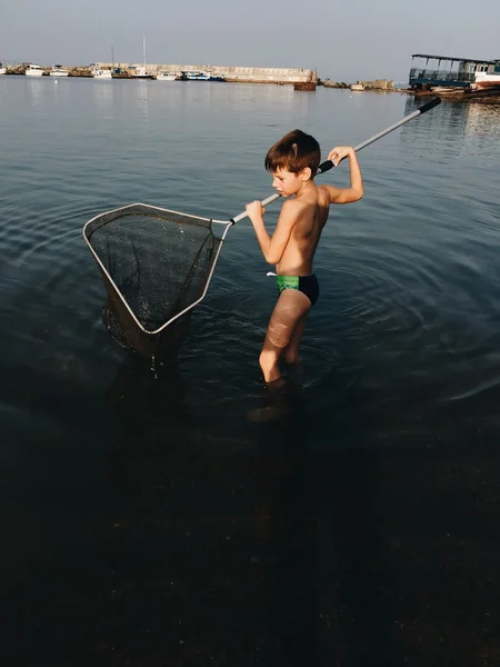 Niño pequeño con una red de mariposas de pesca —  Fotos de Stock