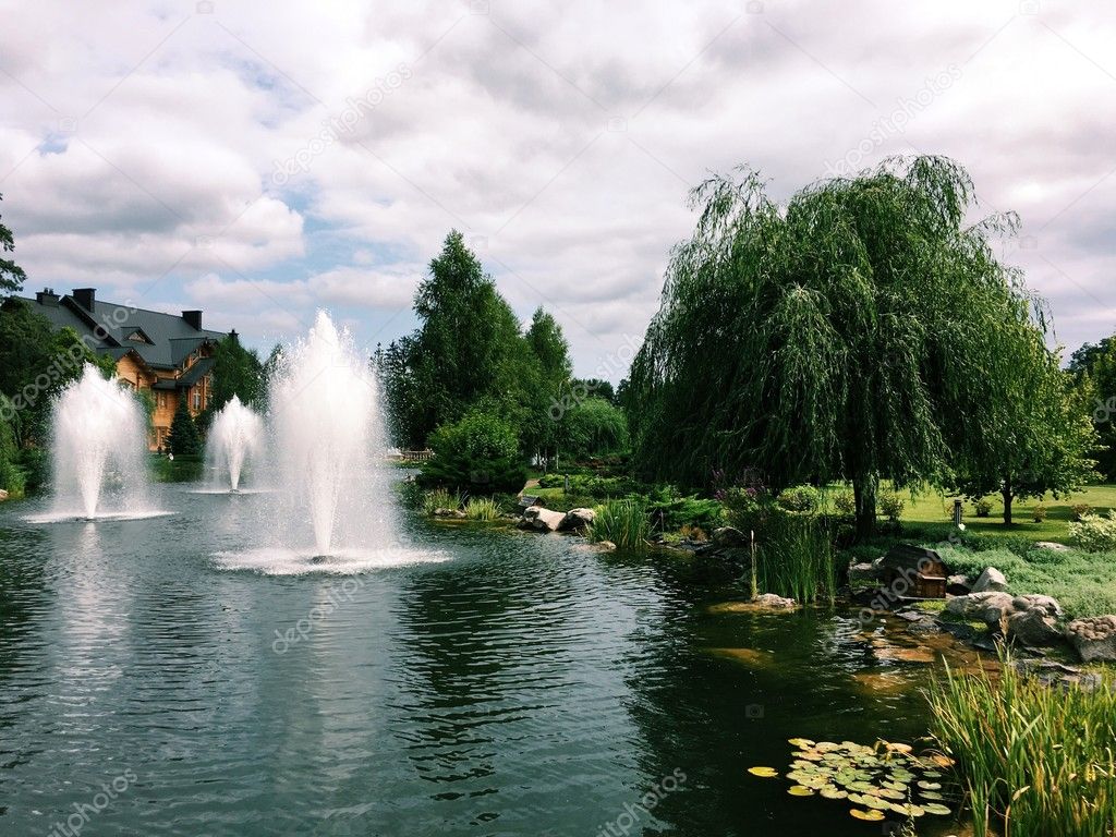 a lake with a fountain and a cane