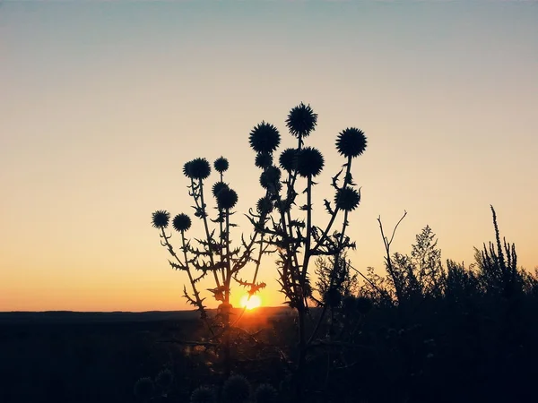 Gün batımı — Stok fotoğraf