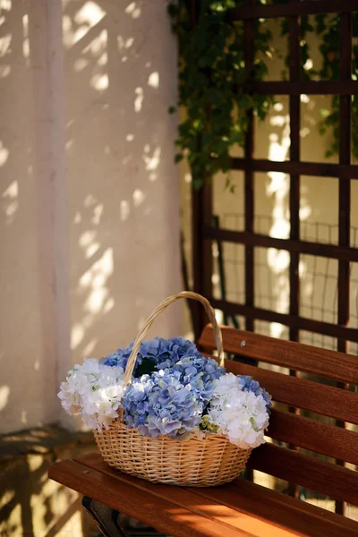 Hydrangeas and basket — Stock Photo, Image