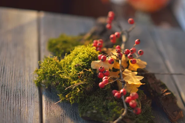 Moss and viburnum — Stock Photo, Image