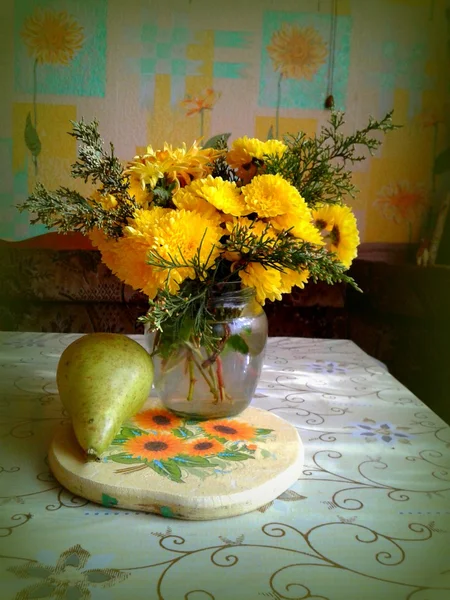 Gelbe Chrysanthemen — Stockfoto