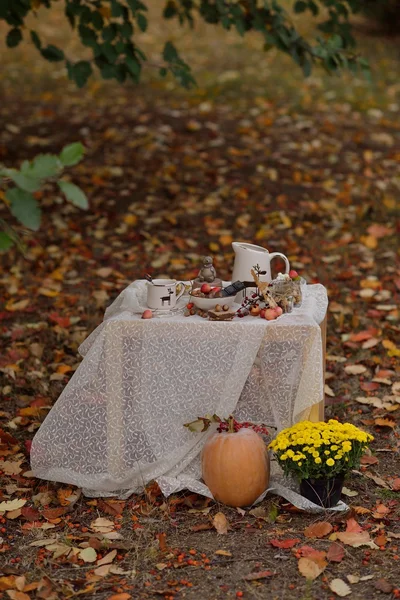 Jesienna martwa natura — Zdjęcie stockowe