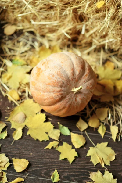 Pumpkin and yellow leaves — Stock Photo, Image