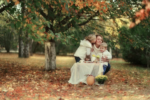 Piknik w lesie jesienią — Zdjęcie stockowe