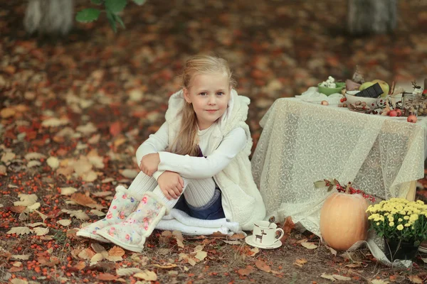 Picnic nella foresta autunnale — Foto Stock