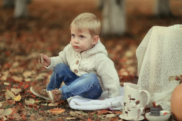 Sonbahar ormanda piknik — Stok fotoğraf