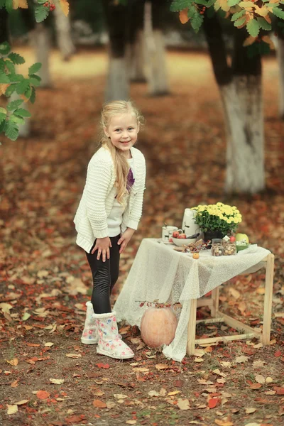 Picnic in the autumn forest — Stock Photo, Image