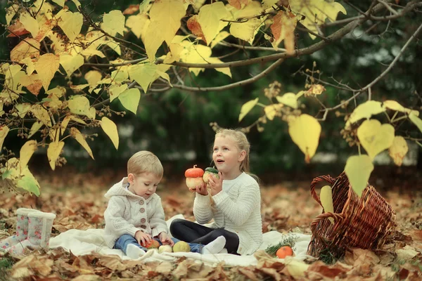 Děti v podzimním lese — Stock fotografie