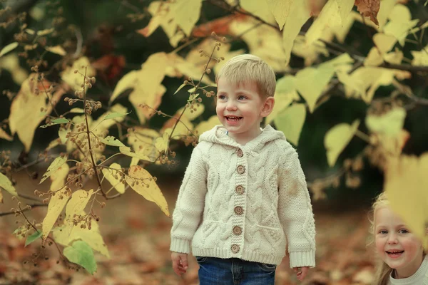 Çocuk ve sarı yaprakları — Stok fotoğraf