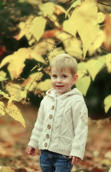 Niño y follaje amarillo — Foto de Stock