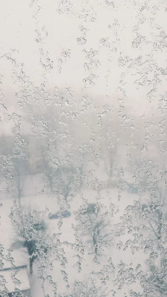 Frost på glas — Stockfoto