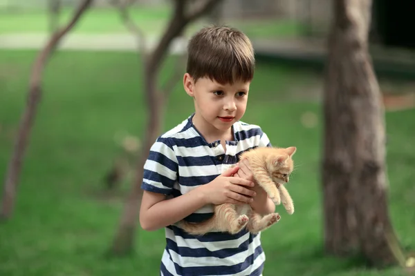 男孩和猫 — 图库照片