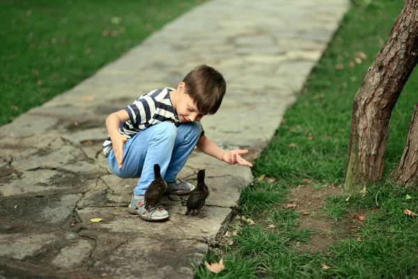 Chlapec hrát s kuřaty — Stock fotografie