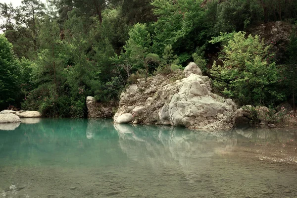 Dağlar ve kayalar göl yakınındaki büyük yaprak döken orman arasında — Stok fotoğraf