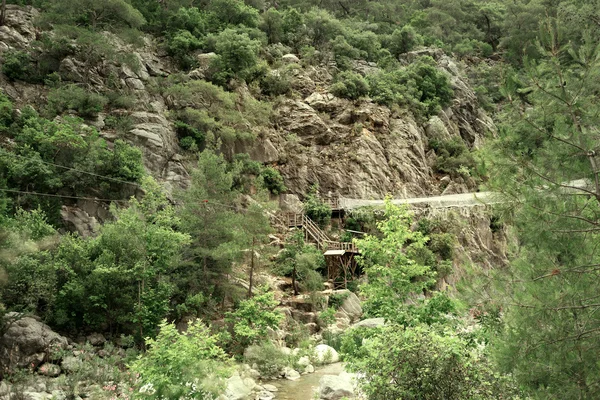 Ahşap köprü ve dağ nehir — Stok fotoğraf