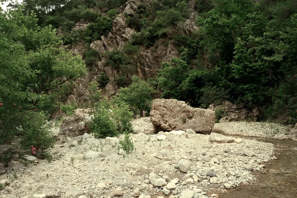 Lago de los Bosques —  Fotos de Stock