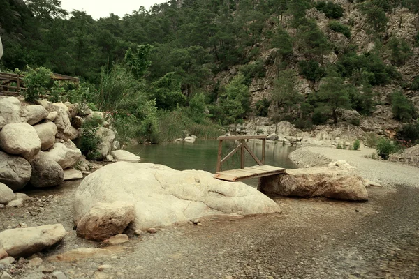 Lago de los Bosques — Foto de Stock