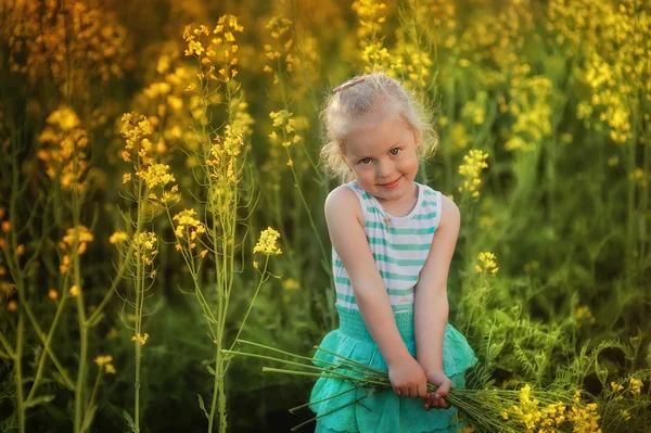 Girl on the field — Stock Photo, Image