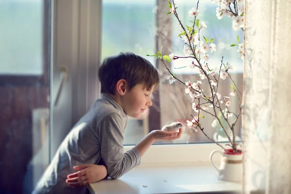 Boy with hamster — Stock Photo, Image