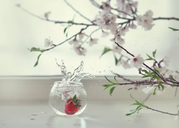 Strawberries and flowers — Stock Photo, Image