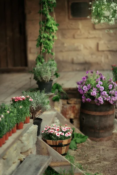 Fleurs dans un tonneau en bois — Photo