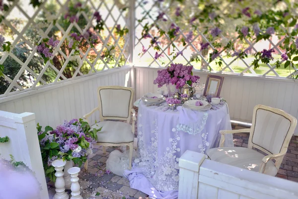 Lilac spring — Stock Photo, Image