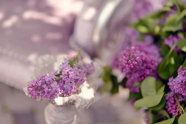 一束紫丁香 — 图库照片
