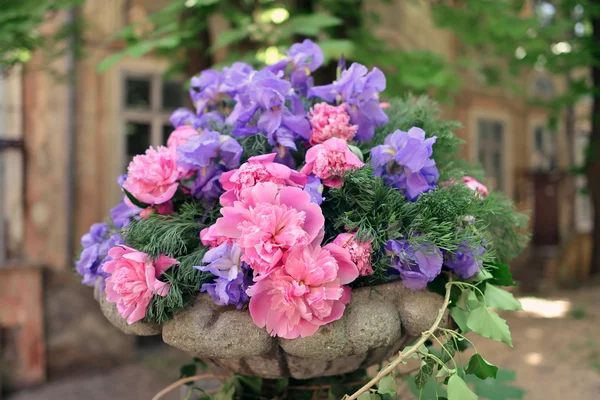 Bouquet of peonies and iris — Stock Photo, Image