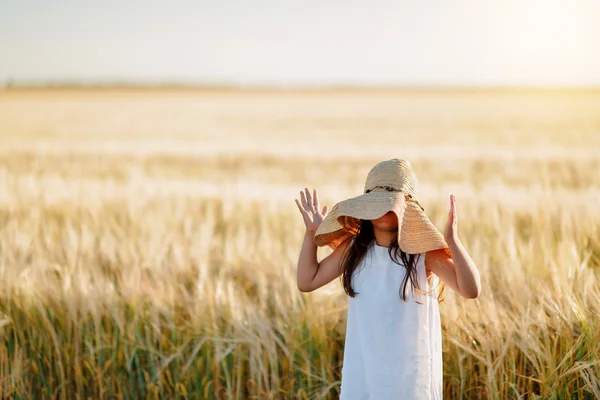 Preschool girl in a ripe wheat field — Stock Photo, Image