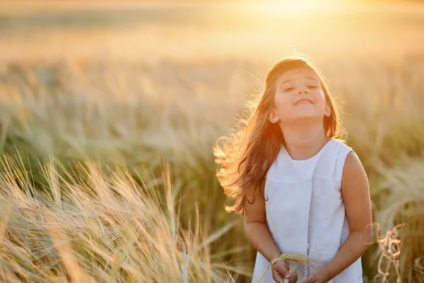 Girl in a wheat field — Stock Photo, Image