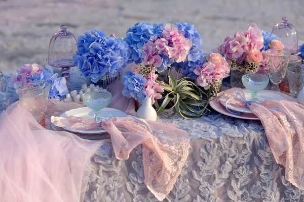 Blaue Hortensie — Stockfoto